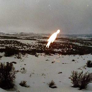 在办公室狂躁老板gif软件介绍
