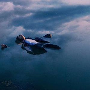 在办公室狂躁老板gif软件介绍
