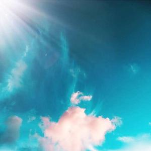 在办公室狂躁老板gif软件介绍
